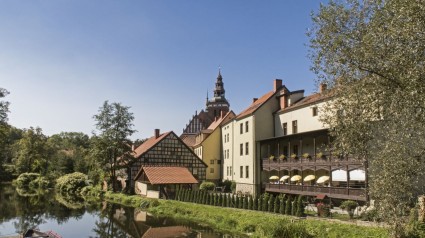 Zdjęcie artykułu 266.DOM OPIEKI „NASZ DOM” IM. REGINY PROTMANN